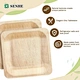 Disposable square wooden plates
